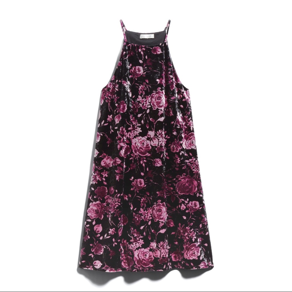 Nine Britton Stowe Velvet Knit Dress